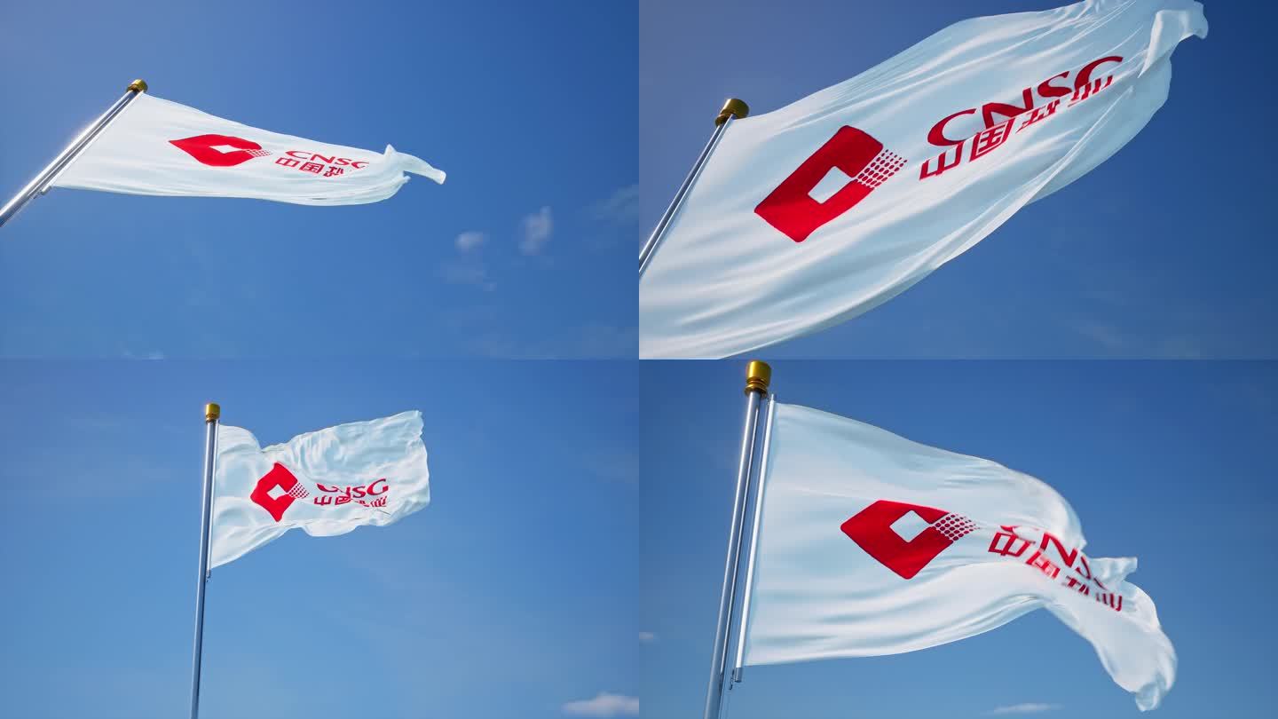中国盐业集团旗帜