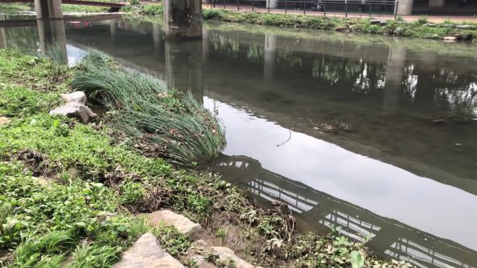 大雨和洪水过后