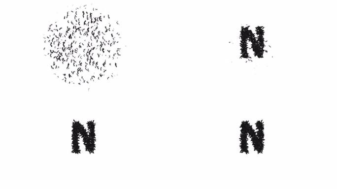 动画万圣节字体形成的飞行蝙蝠字符N与alpha