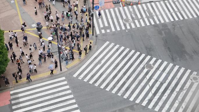 4K高角度视角。日本东京涩谷十字路口