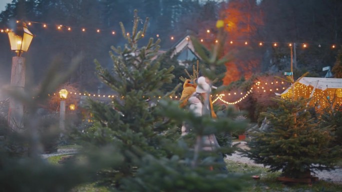 一对夫妇逛圣诞市场，为他们的家寻找一棵合适的圣诞树