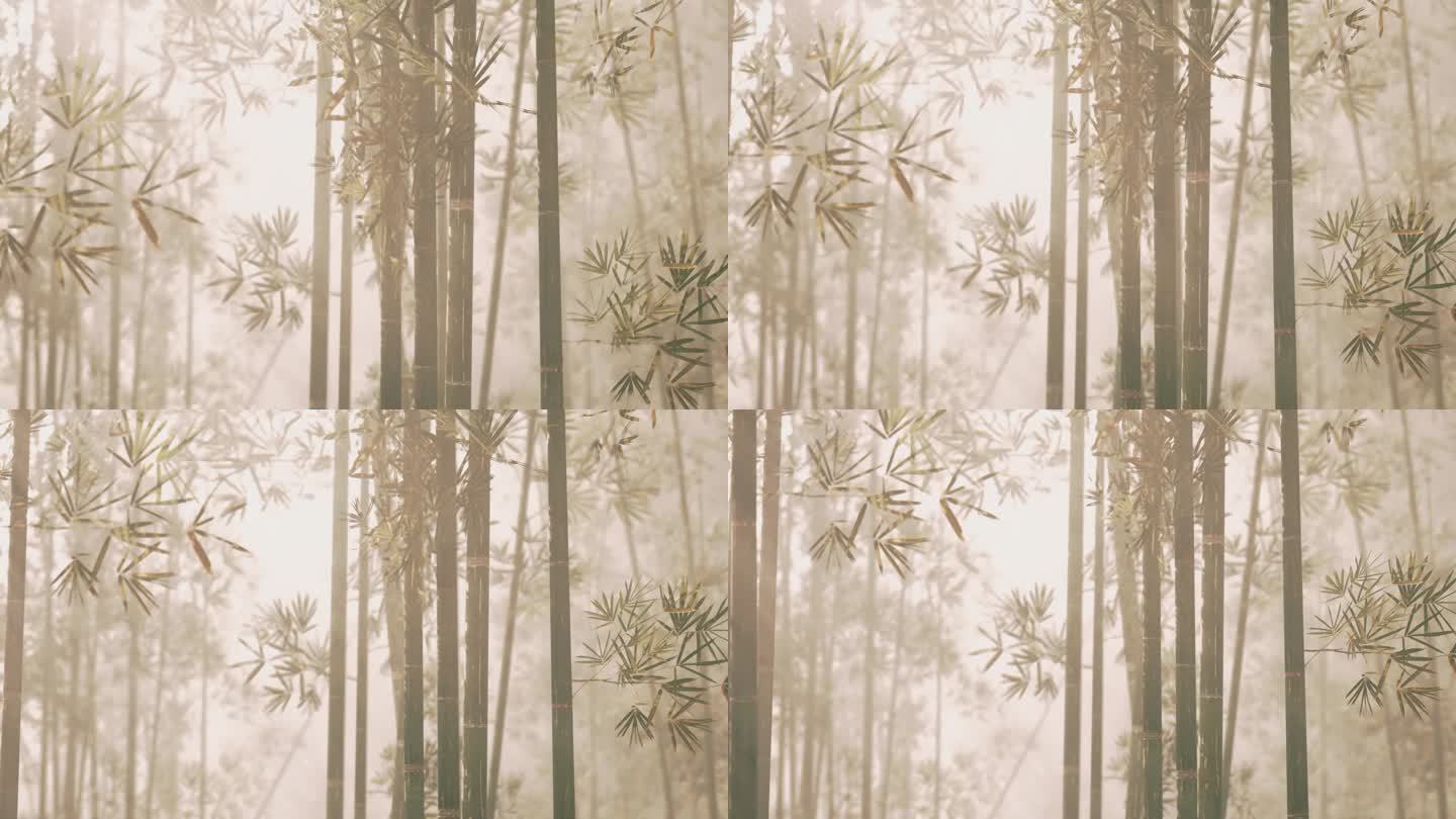 在宁静的森林里有一片雾蒙蒙的竹林