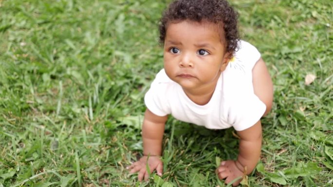 一个六个月大的非裔美国黑人小孩在夏天的草地上爬着玩草