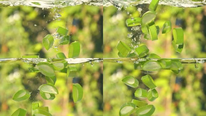 绿色芦荟植物叶片落在水中