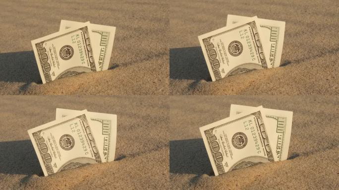 在沙滩上兑换美国百元美钞。概念理财为度假攒钱。旅游假期费用