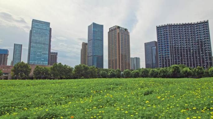 杭州临平城市大景 IFC