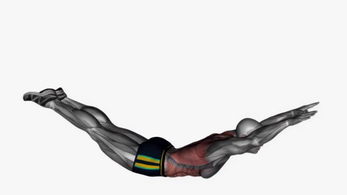 超人健身运动锻炼动画男性肌肉突出演示4K分辨率60 fps
