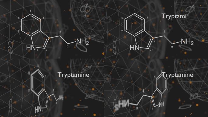 生物碱色胺的骨架配方。化学分子。