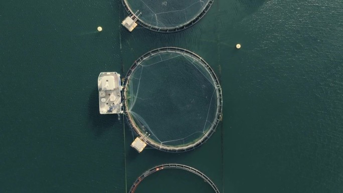 无人驾驶飞机飞过海上的圆形渔网。从渔场围栏俯瞰