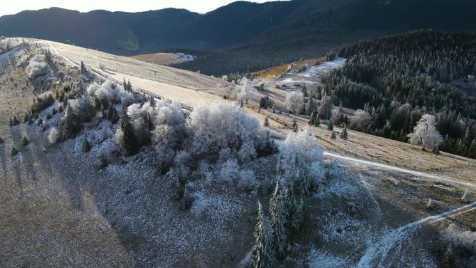 冬季森林自然白雪覆盖的冬季树木高山景观清晨日出假日旅游霜冻的树顶鲜艳的色彩空中4k