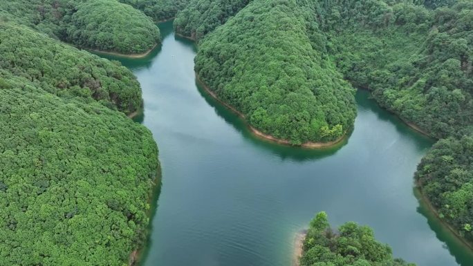 一个男人在湖里玩划桨冲浪