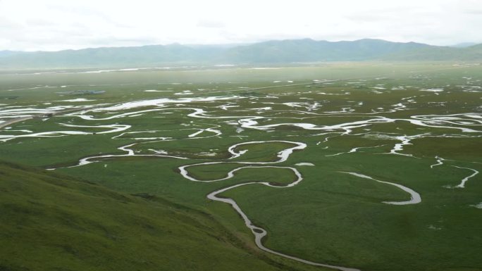 甘肃阿旺仓湿地的全景图