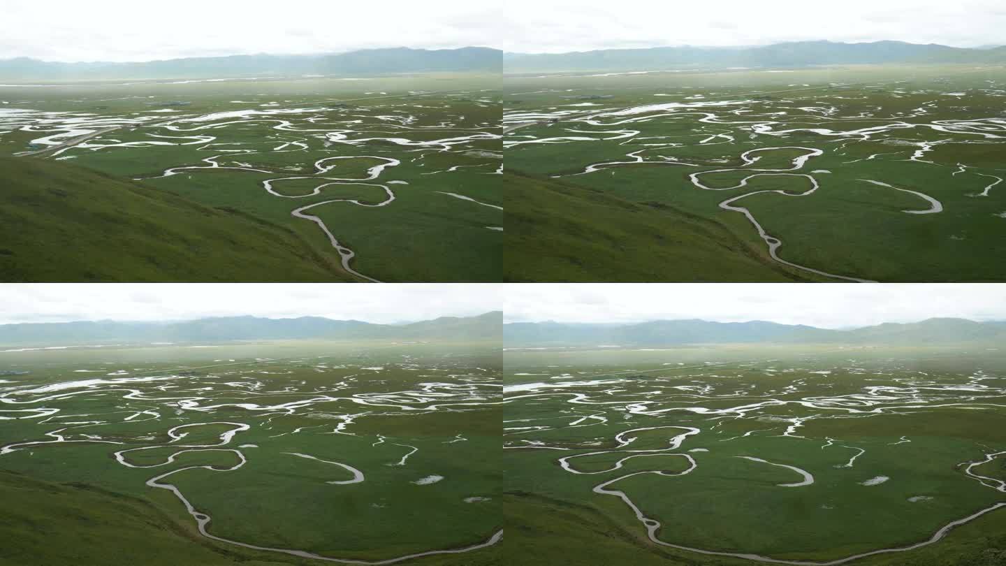 甘肃阿旺仓湿地的全景图