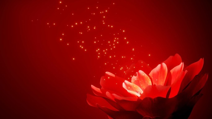 红色的花朵，像玫瑰一样，正在盛开，喷出闪闪发光的金黄色花粉。