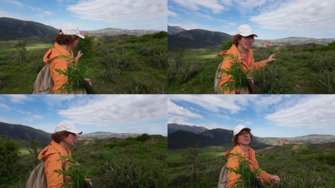 女视频博主手持采摘的新鲜龙蒿在山上散步的自拍视频