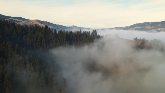 飞过山顶的云层。山峰高耸，清晨日出，自然景观优美