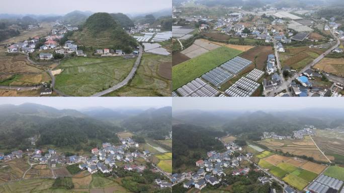 遵义花茂村