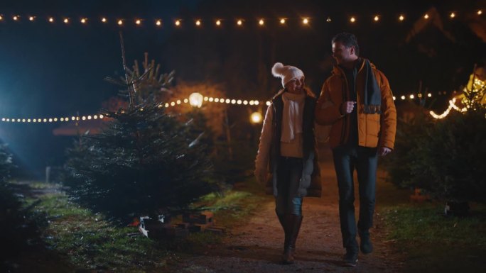 一对相爱的夫妇晚上在圣诞树农场散步
