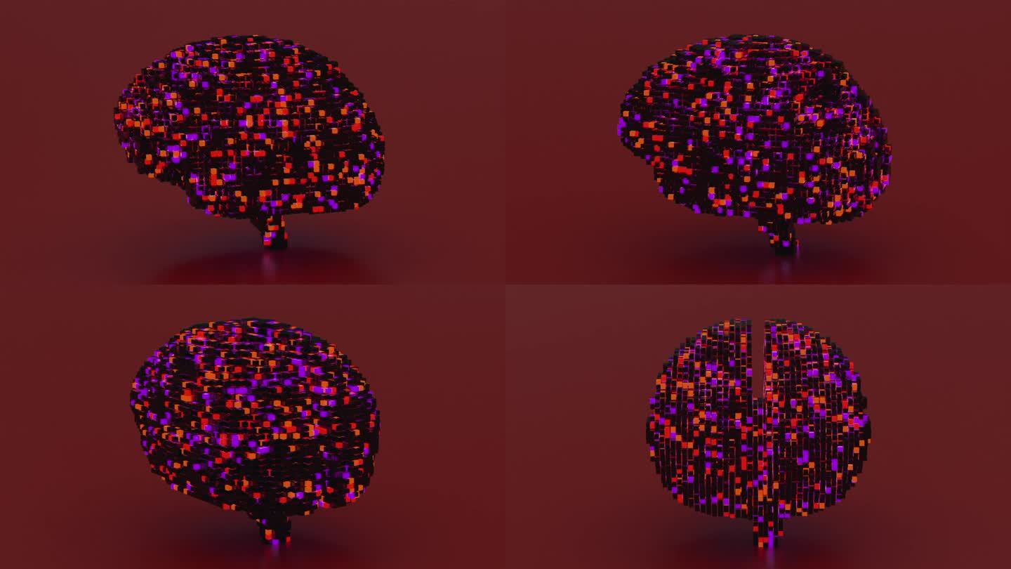 大脑05颜色02脑子人脑三维动画超脑