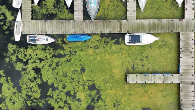无人机捕捉到北爱尔兰尼格湖罕见的蓝绿藻爆发