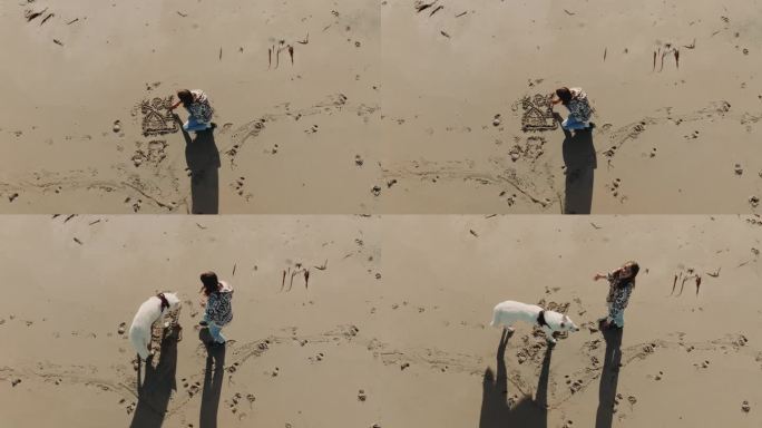 小女孩在沙滩上画画写字的俯视图。大白狗毁了画。