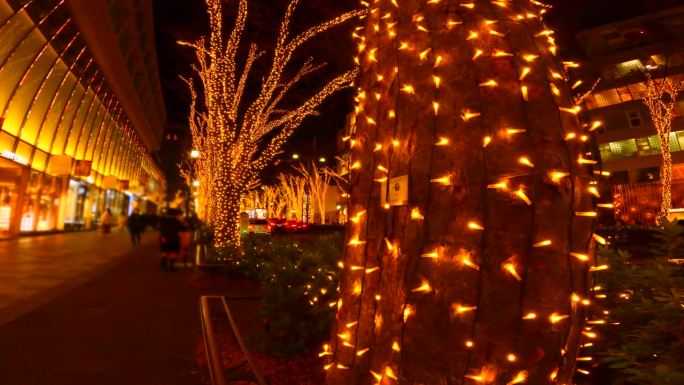 东京表参道的圣诞彩灯