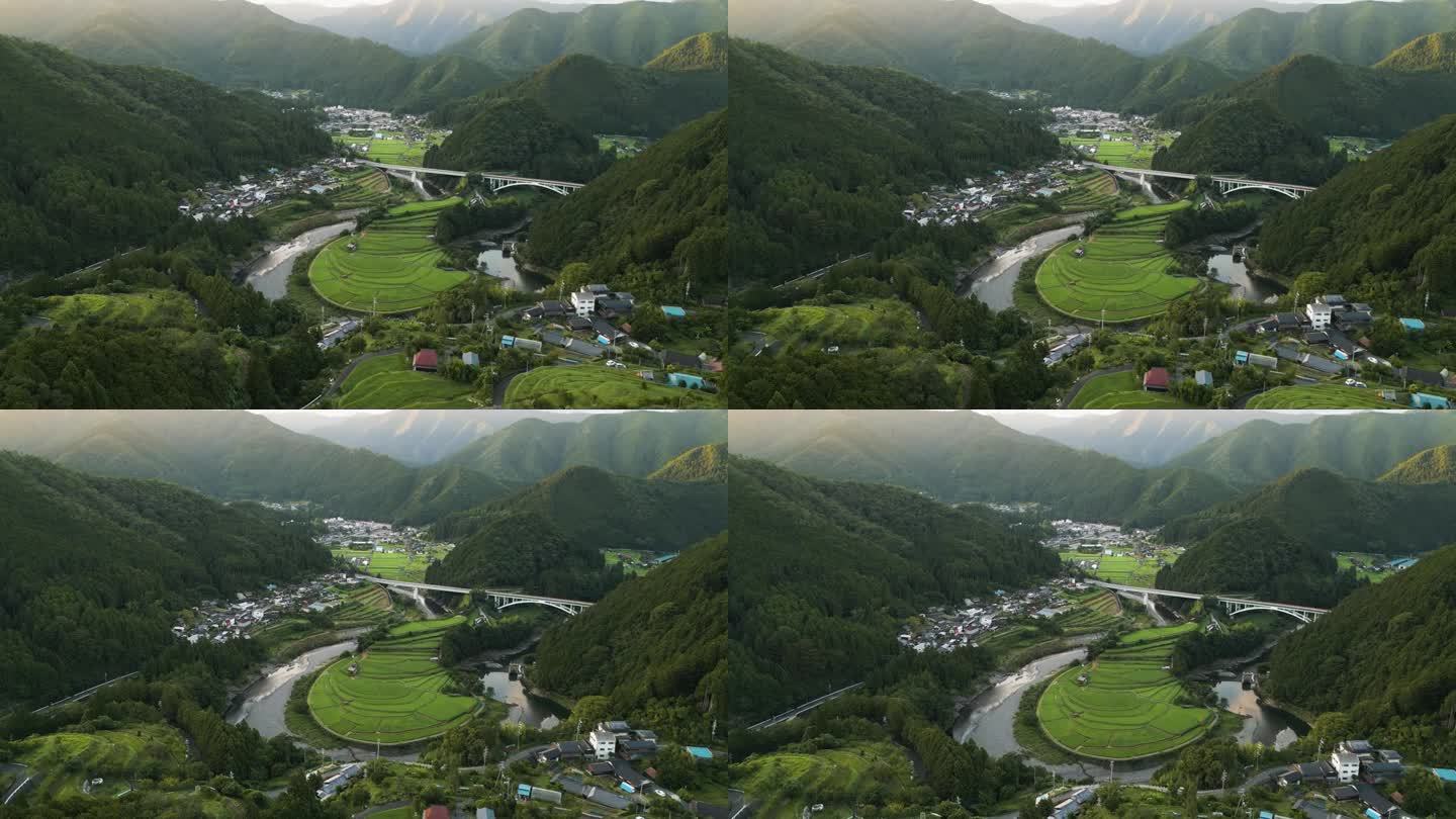日本和歌山的荒岛稻田