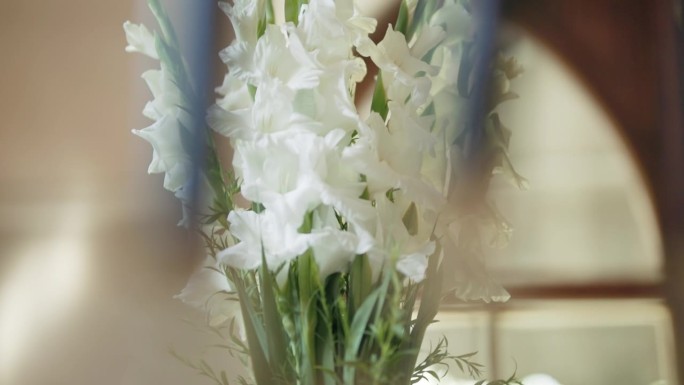 桌上放着一束白色的剑兰花