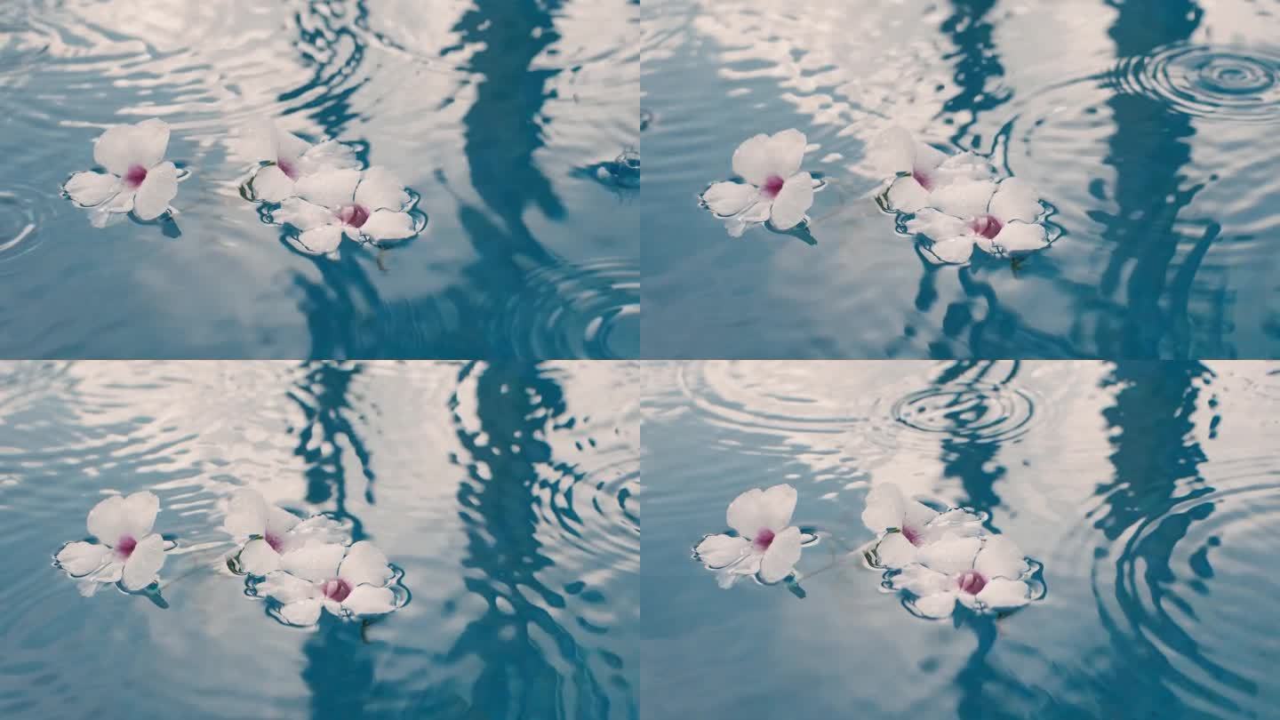 漂浮的白色花朵。大雨。