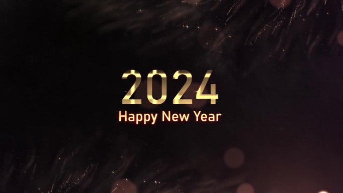 圣诞快乐，2024年新年快乐，2024年新年伴金粒儿