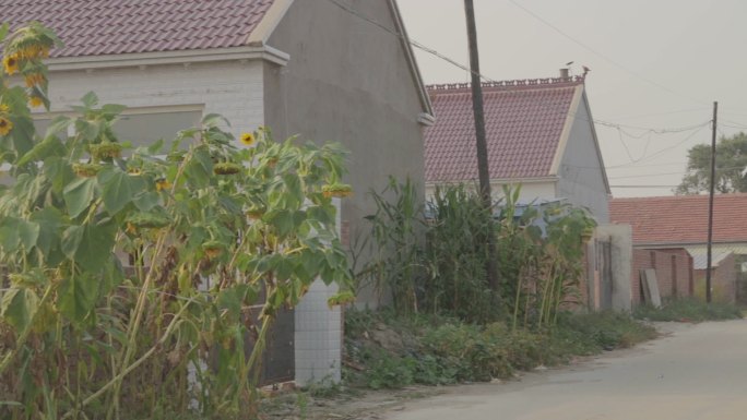 【原创实拍】农村的乡间小路