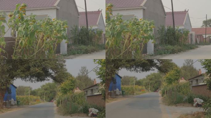 【原创实拍】农村的乡间小路