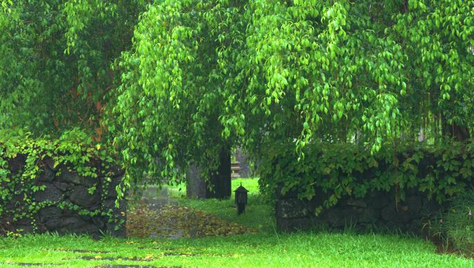 下雨天公园风景