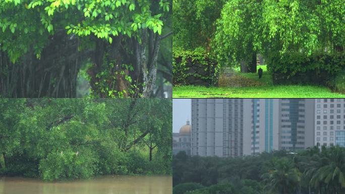 下雨天公园风景