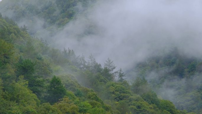 初秋雨中山脉云雾缭绕的绝美自然风光