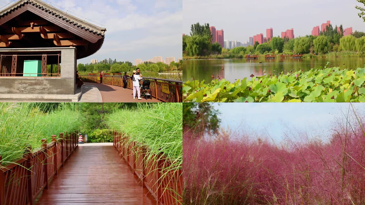 北京城市公园官庄公园