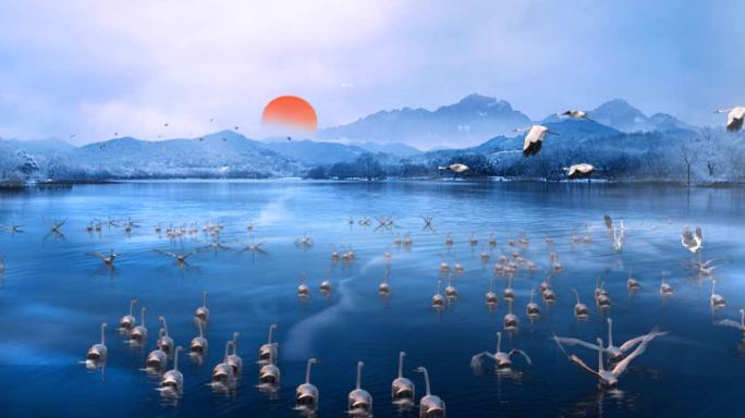 中国风舞台背景-冬日湖面候鸟