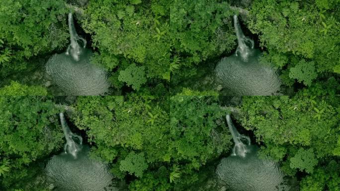 鲁蒙多瀑布的电影鸟瞰图隐藏在阿莱格里亚丛林深处，北苏里高，菲律宾。