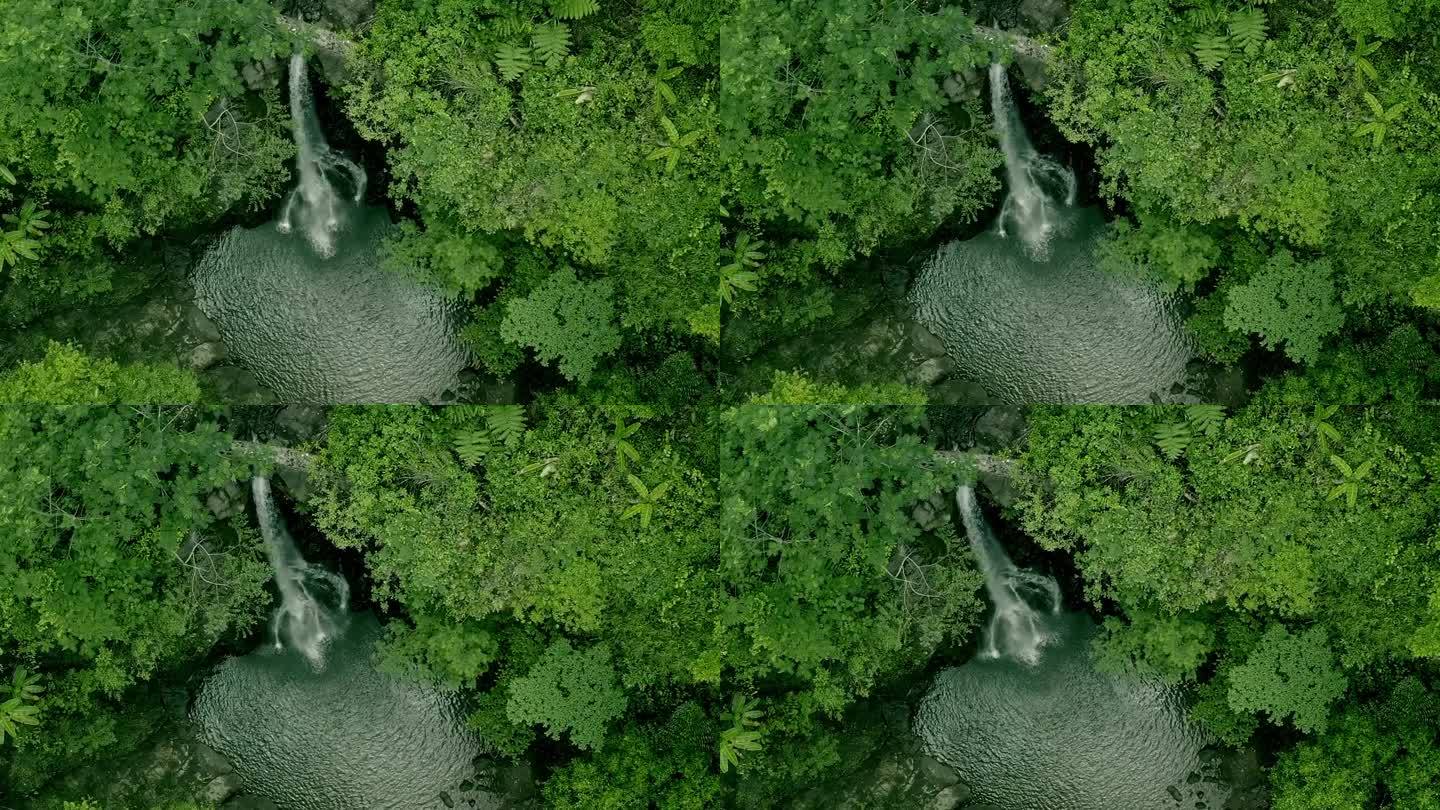 鲁蒙多瀑布的电影鸟瞰图隐藏在阿莱格里亚丛林深处，北苏里高，菲律宾。