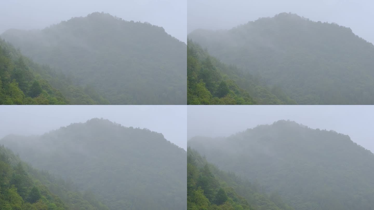 初秋雨中山脉云雾缭绕的绝美自然风光