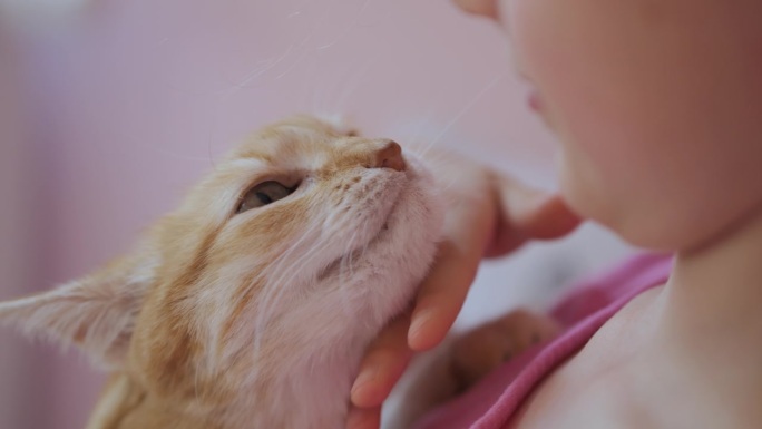 小女孩坐在床上抚摸着红猫，宠物之爱。孩子抚摸和抚摸可爱的小猫。缓解压力动物疗法。贴心小孩的手抚摸和拥