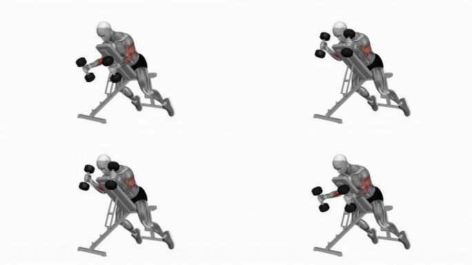 哑铃俯卧倾斜锤卷健身运动锻炼动画男性肌肉突出演示4K分辨率60 fps