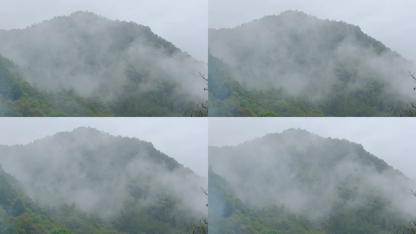 初秋雨中山脉云雾缭绕的绝美自然风光