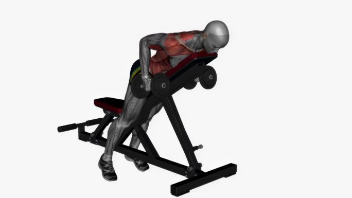俯卧卧排哑铃健身运动锻炼动画男性肌肉突出演示4K分辨率60 fps