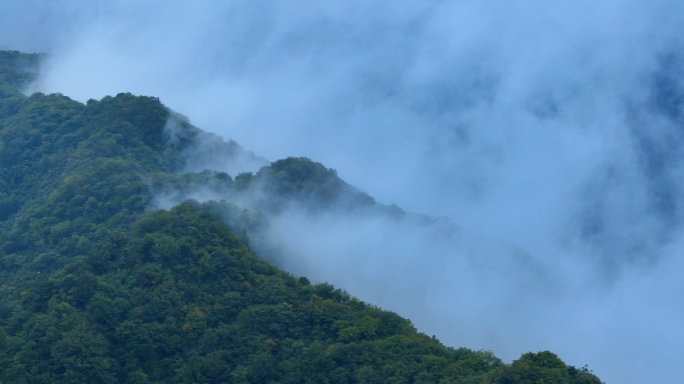 山谷雨雾云海云雾缭绕原始森林大山云层