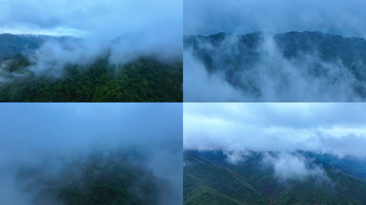 山谷雨雾云海云雾缭绕原始森林大山云层