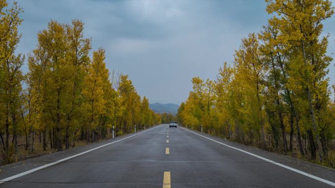 秋天道路嶂延时视频