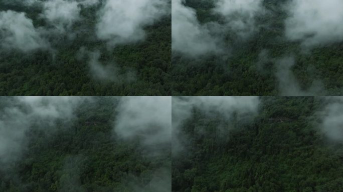 航拍四川山林雨后薄雾风景