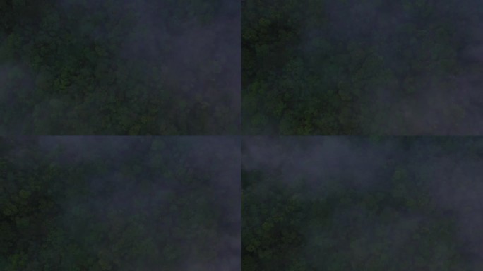 笼罩在雾中的热带森林的黑暗和粗糙的鸟瞰图