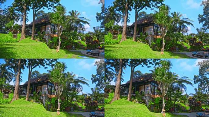 房子坐落在热带的绿色林间空地上，周围是热带树木